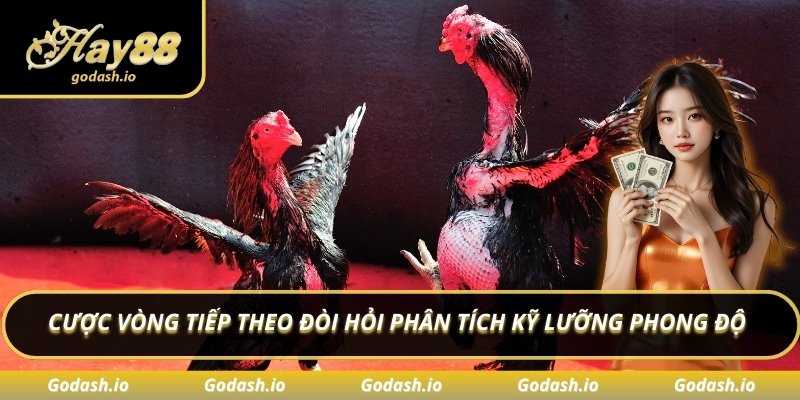 Cược vòng tiếp theo đòi hỏi phân tích kỹ lưỡng phong độ