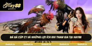 Đá gà cúp c1