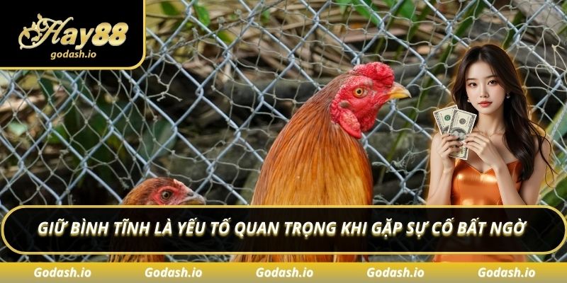 Giữ bình tĩnh là yếu tố quan trọng khi gặp sự cố bất ngờ