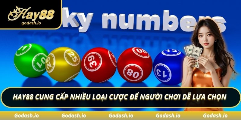 Hay88 cung cấp nhiều loại cược để người chơi dễ lựa chọn